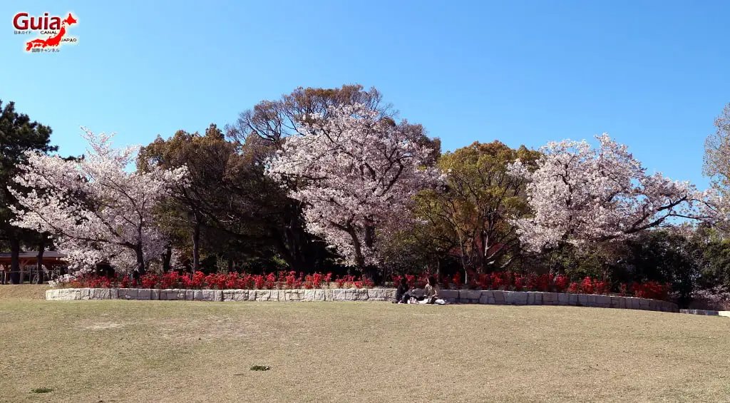 🌳 스하라 공원(스하라 파크) 이미지 8